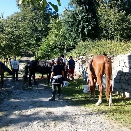Semesterbostad Podere Chiappasonno *