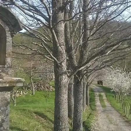 Podere Chiappasonno